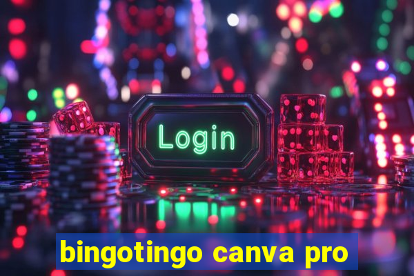 bingotingo canva pro